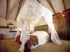 Arusha Coffee Lodge - suite